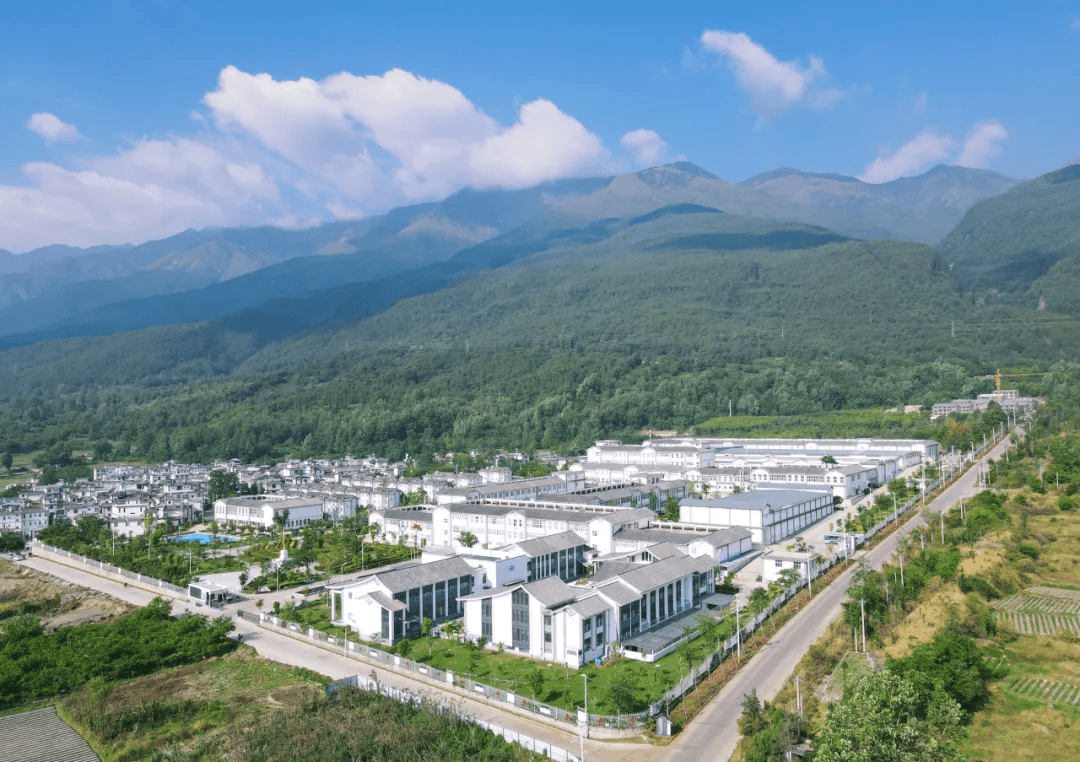 苍山脚下的下关沱茶银桥新厂区全景，白色厂房沿道路舒展